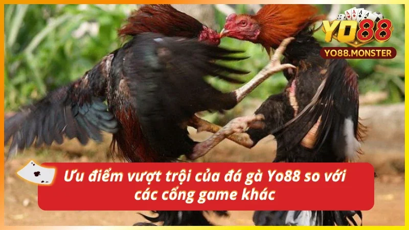 Đánh giá đá gà tại Yo88 so với các địa chỉ khác 