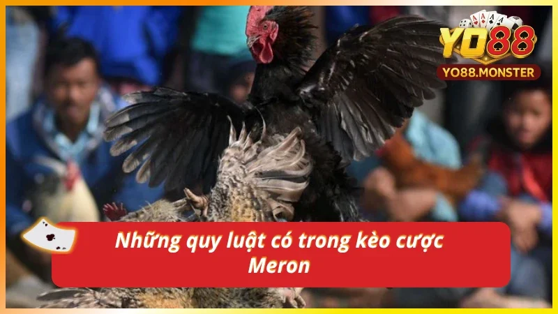 Quy luật bắt buộc có trong loại kèo Meron chi tiết
