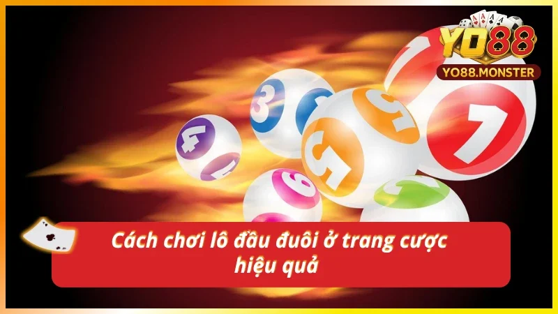 Cách chọn số hiệu quả khi nuôi lô đầu đuôi Yo88