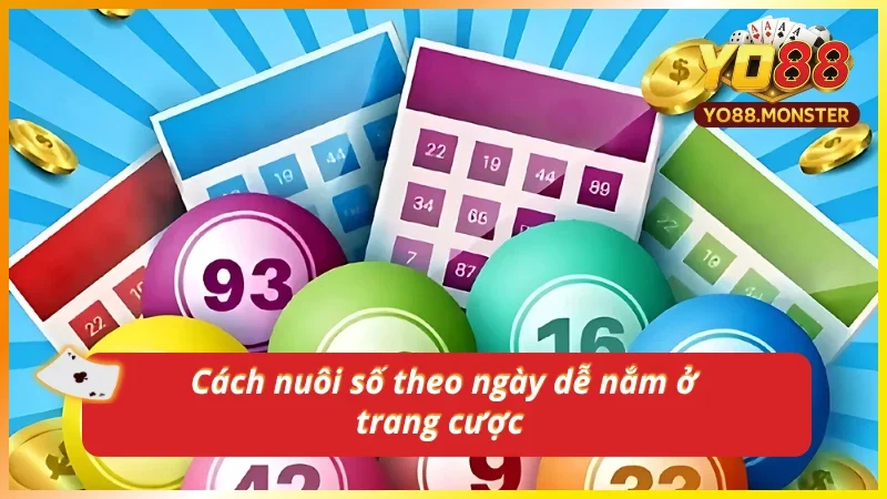 Chiến thuật bắt số thông minh khi nuôi số theo ngày tại nhà cái