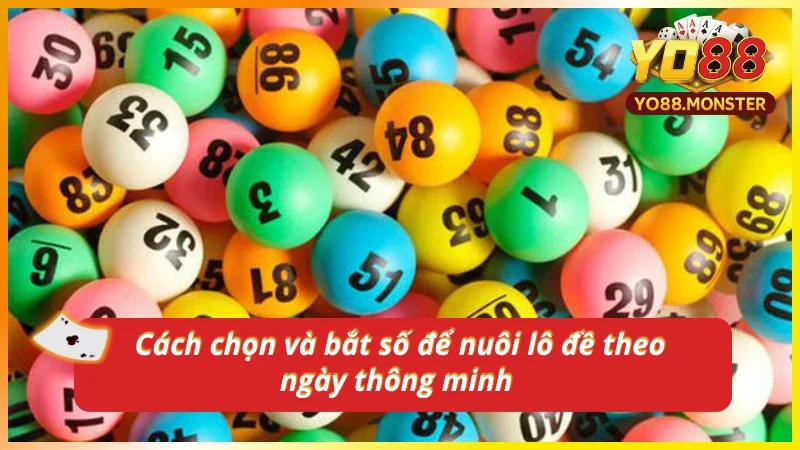 Bí quyết chọn số thông minh khi nuôi số theo ngày hiệu quả