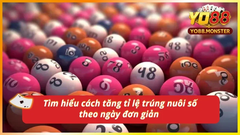 Phân tích các yếu tố ảnh hưởng đến tỉ lệ trúng lô