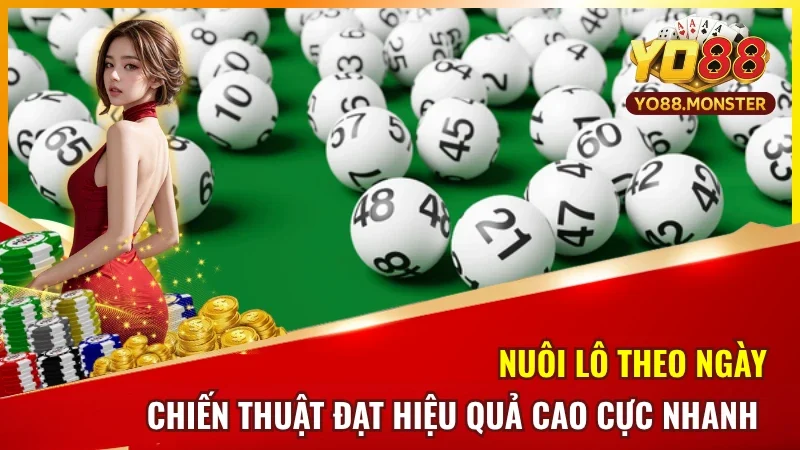 Nuôi Số Theo Ngày